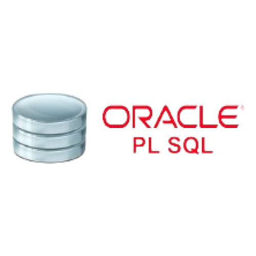 Oracle PL SQL